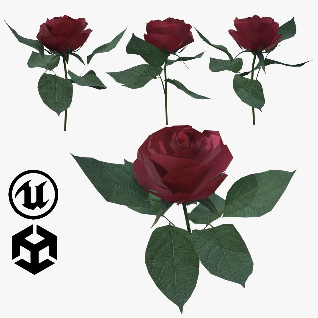 Red Rose 3D Model – Low Poly Textured Game Asset, FBX, OBJ - View 3