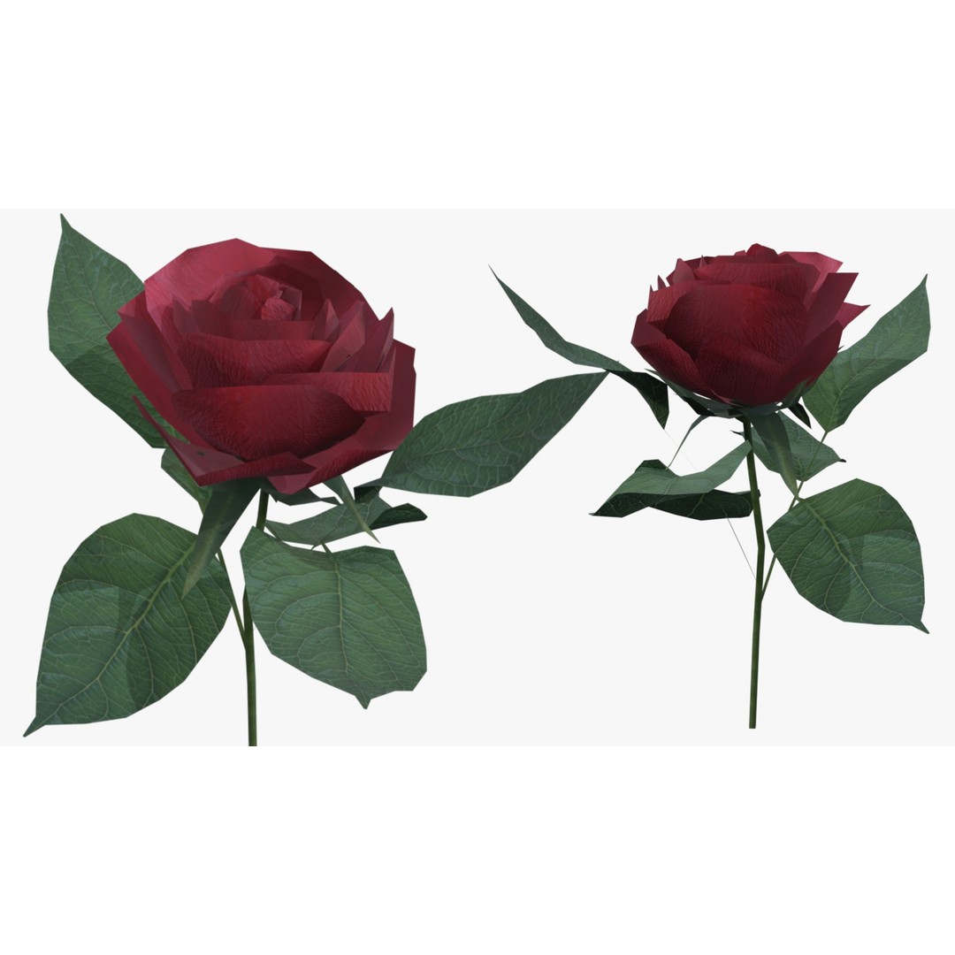 Red Rose 3D Model – Low Poly Textured Game Asset, FBX, OBJ - View 5