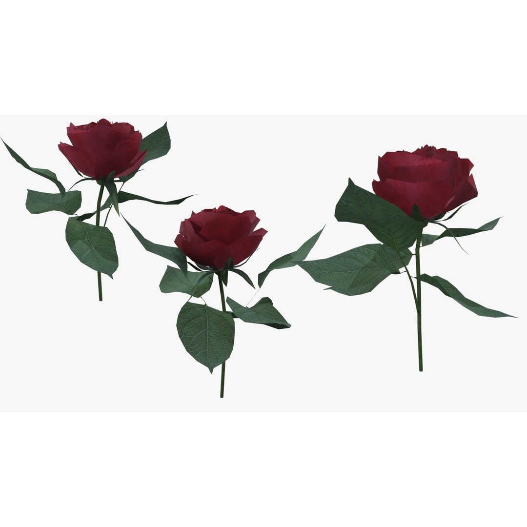 Red Rose 3D Model – Low Poly Textured Game Asset, FBX, OBJ - View 6