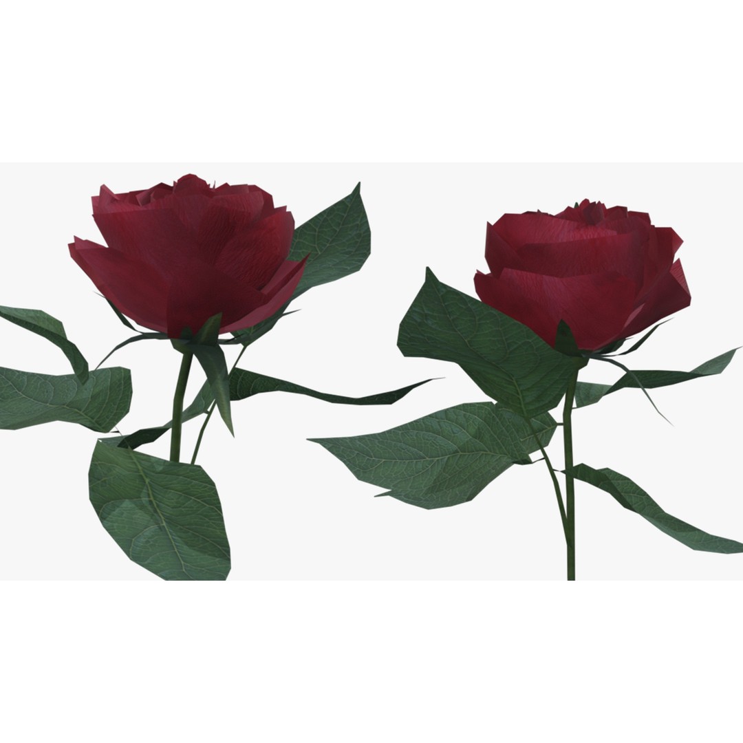 Red Rose 3D Model – Low Poly Textured Game Asset, FBX, OBJ - View 7