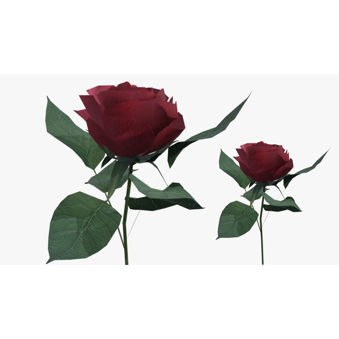 Red Rose 3D Model – Low Poly Textured Game Asset, FBX, OBJ - View 8