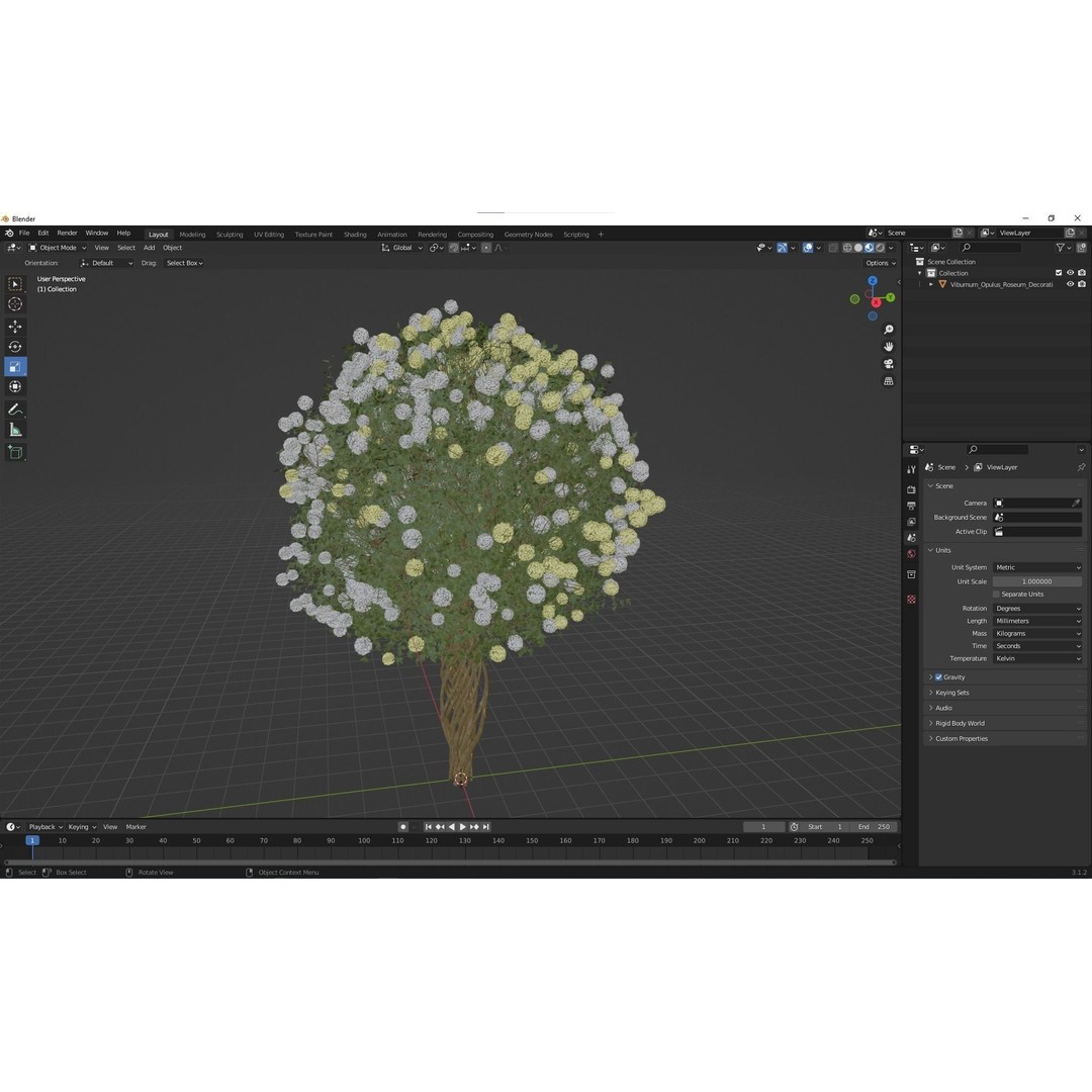 Viburnum Opulus Roseum 3D Model – High Detail Decorative Bush, PBR - View 6