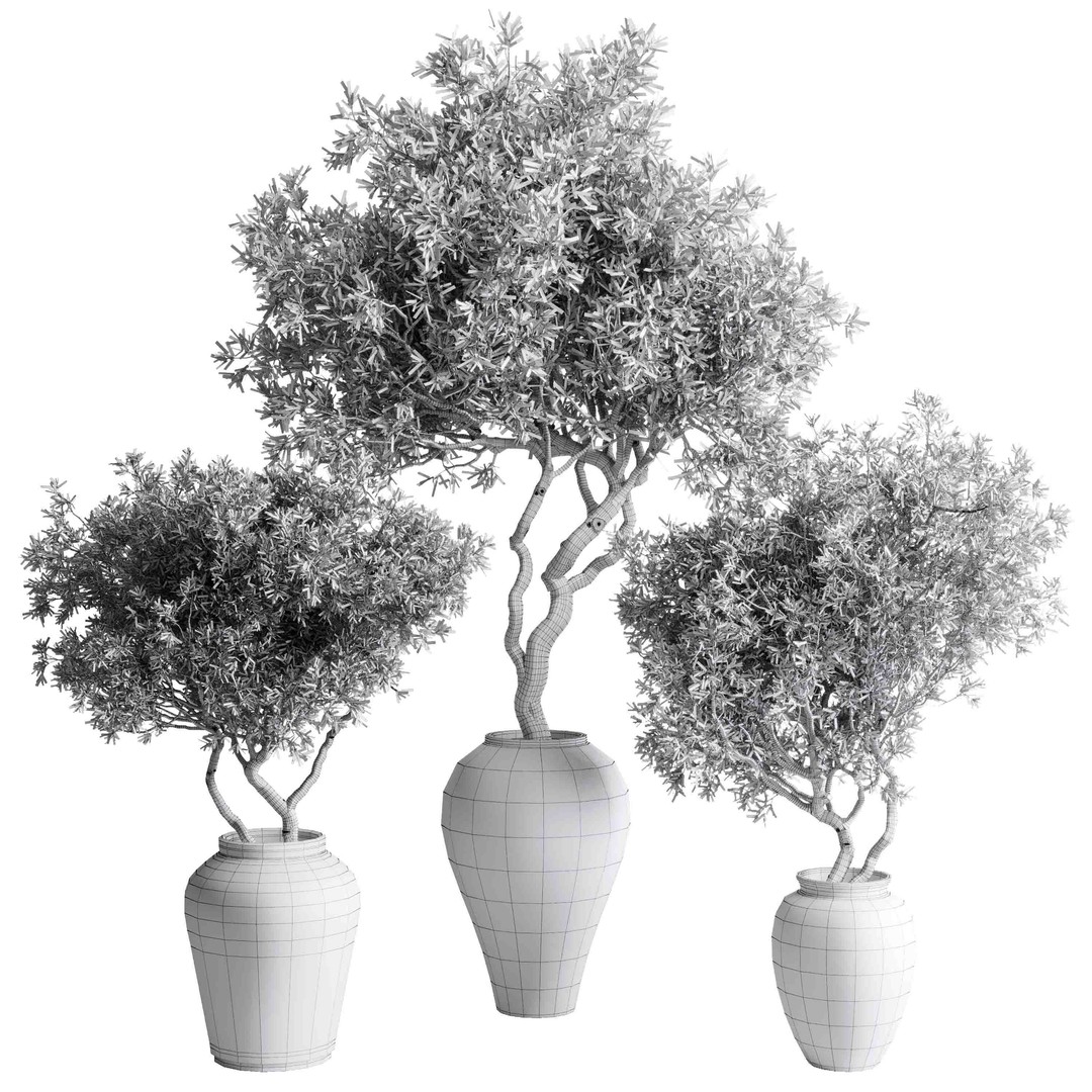 Olive Trees 3D Model – Indoor Plant Set in Concrete Vase, PBR