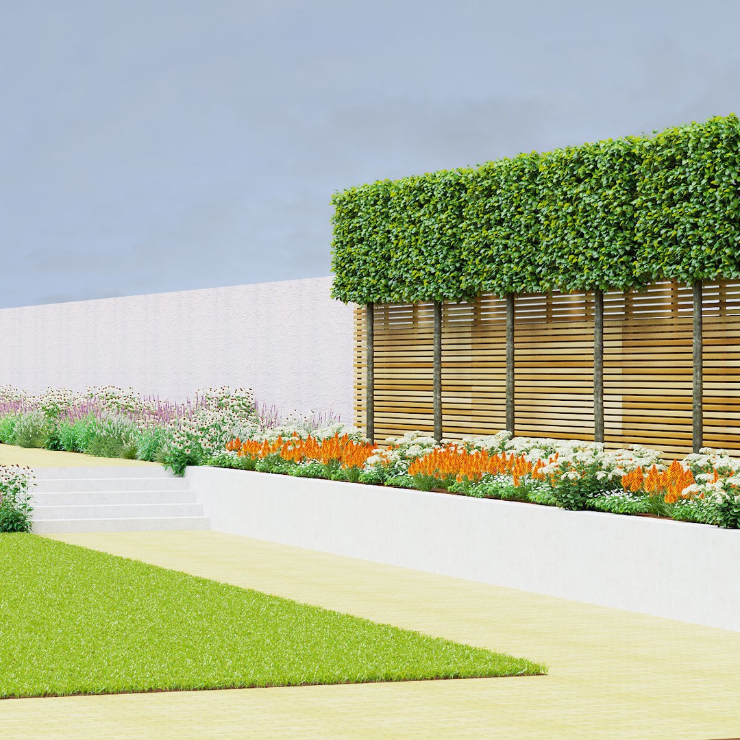 Fagus Sylvatica Pleached 3D Model – High Poly Plant Asset, FBX, OBJ - View 3