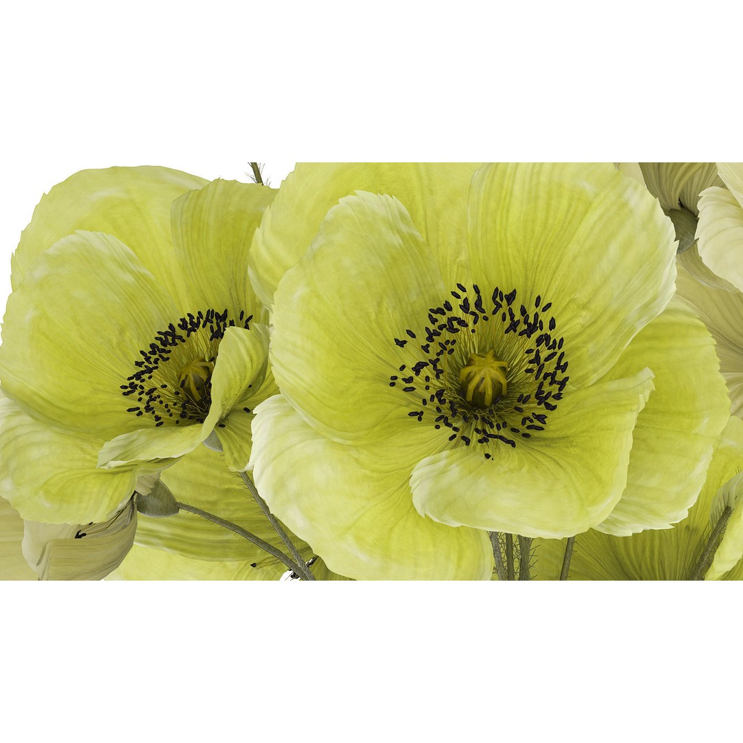 Bouquet of Green Wild Flowers 3D Model – Modern Glass Vase, PBR - View 6