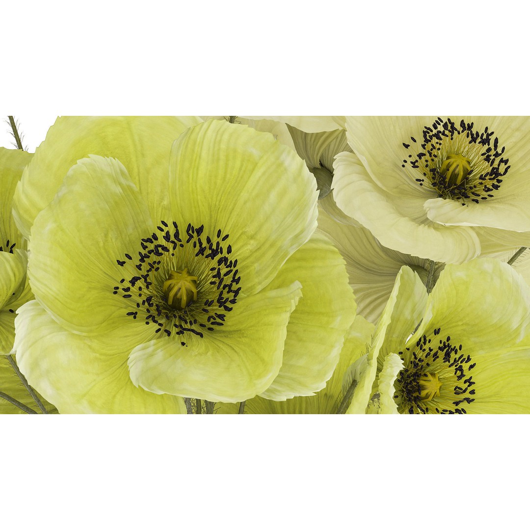 Bouquet of Green Wild Flowers 3D Model – Modern Glass Vase, PBR - View 7