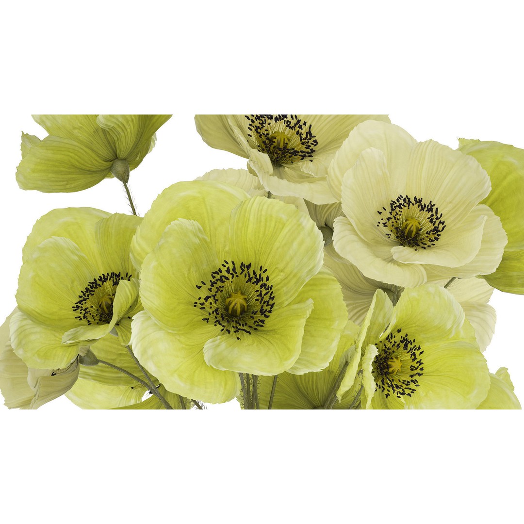 Bouquet of Green Wild Flowers 3D Model – Modern Glass Vase, PBR - View 8