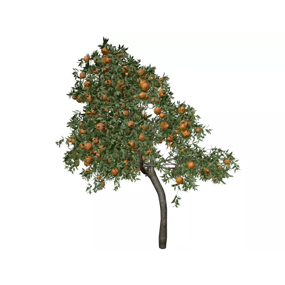 Orange Tree 3D Model – Photorealistic Game Asset, FBX, PBR - View 2