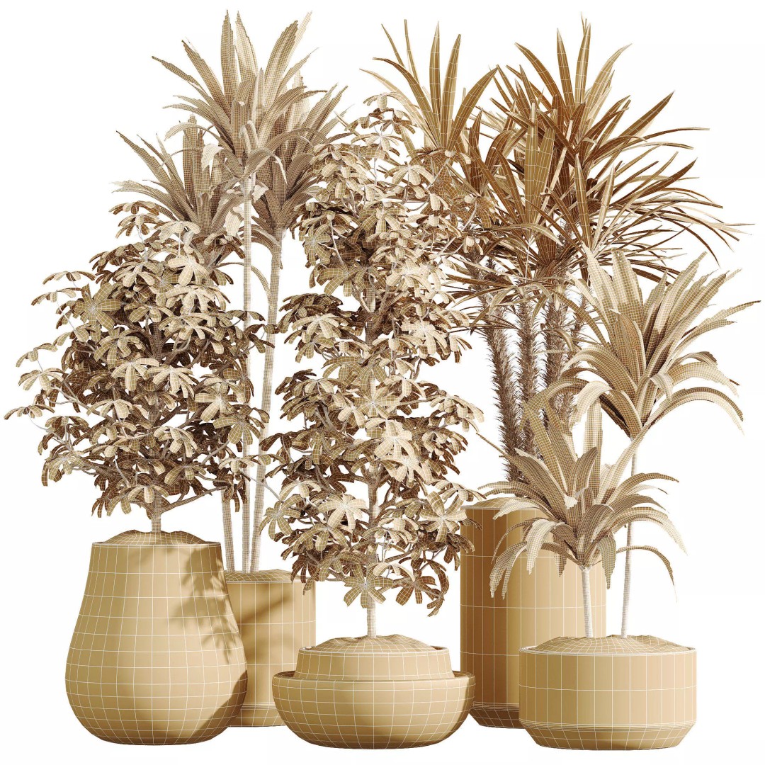 Indoor Plants 3D Model – Realistic Schefflera & Rhapis Palm, FBX