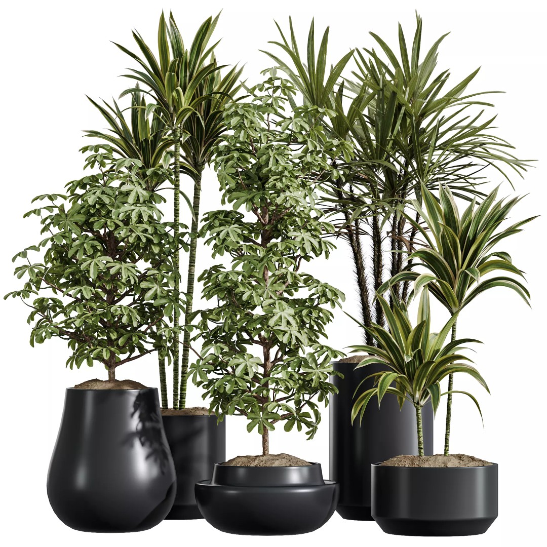 Indoor Plants 3D Model – Realistic Schefflera & Rhapis Palm, FBX - View 8