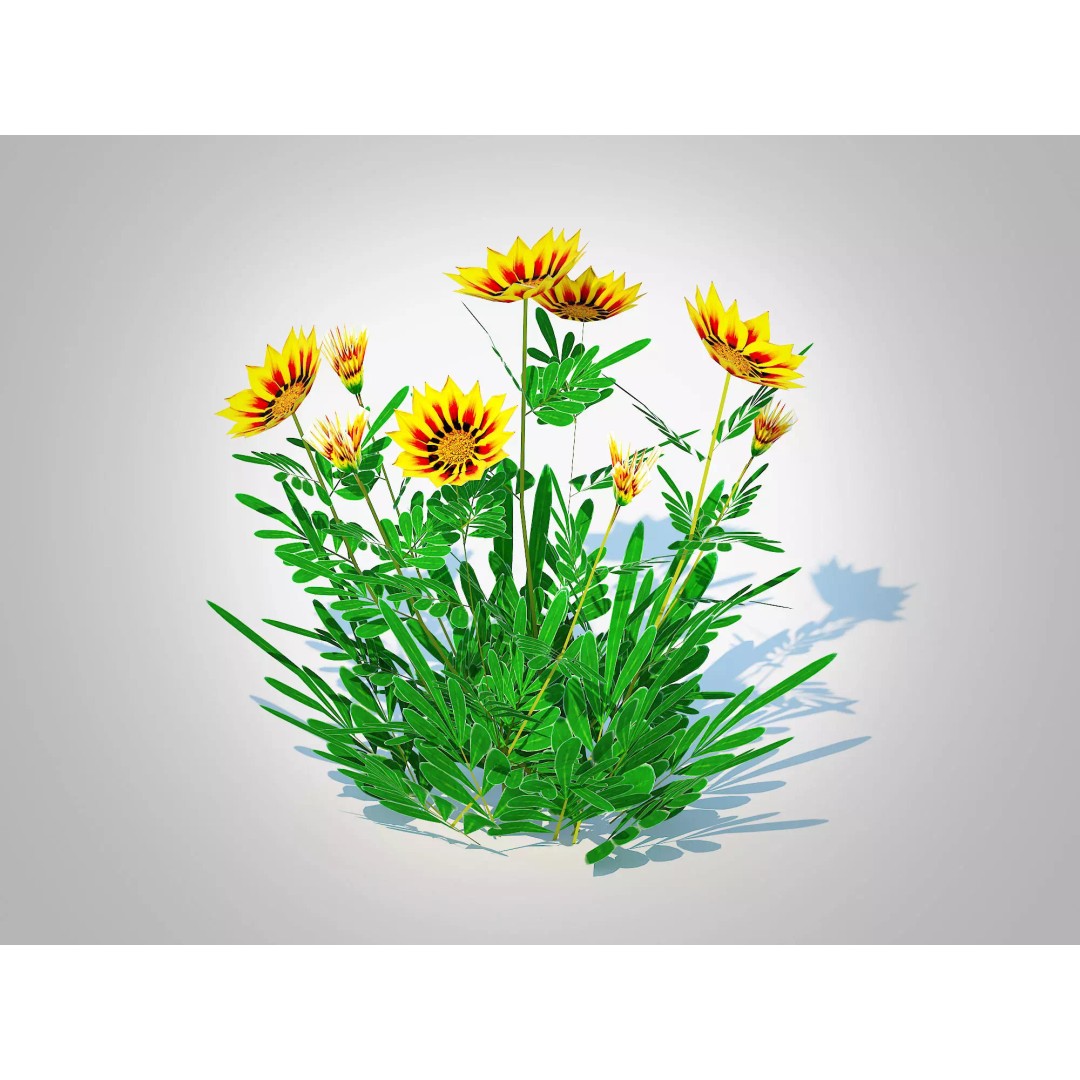 Gazania Rigens Daybreak Yellow 3D Model – Low Poly Game Asset, FBX - View 2