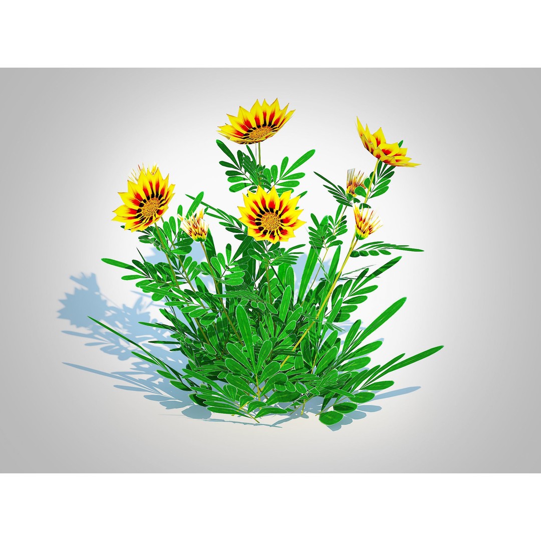 Gazania Rigens Daybreak Yellow 3D Model – Low Poly Game Asset, FBX - View 3