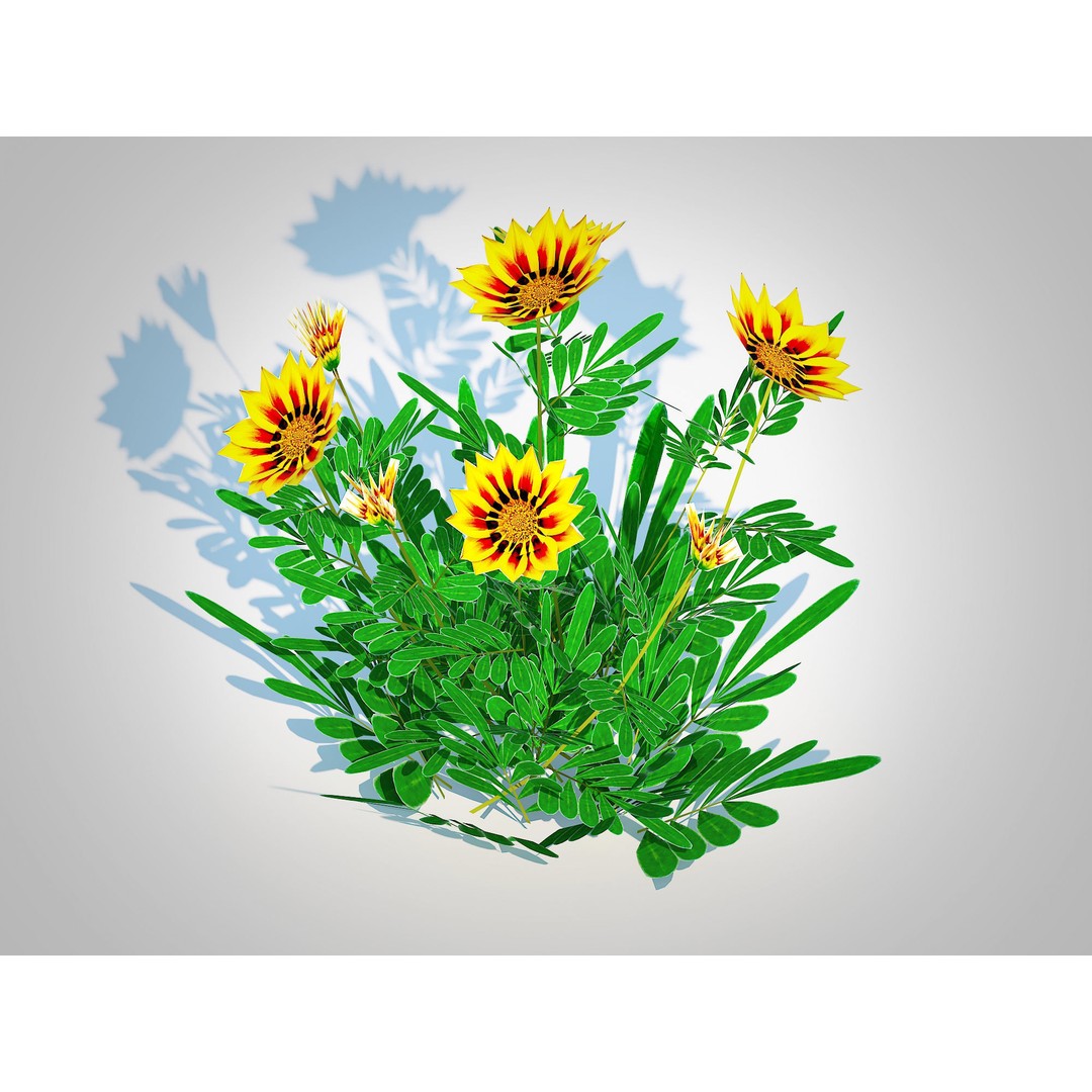 Gazania Rigens Daybreak Yellow 3D Model – Low Poly Game Asset, FBX - View 4