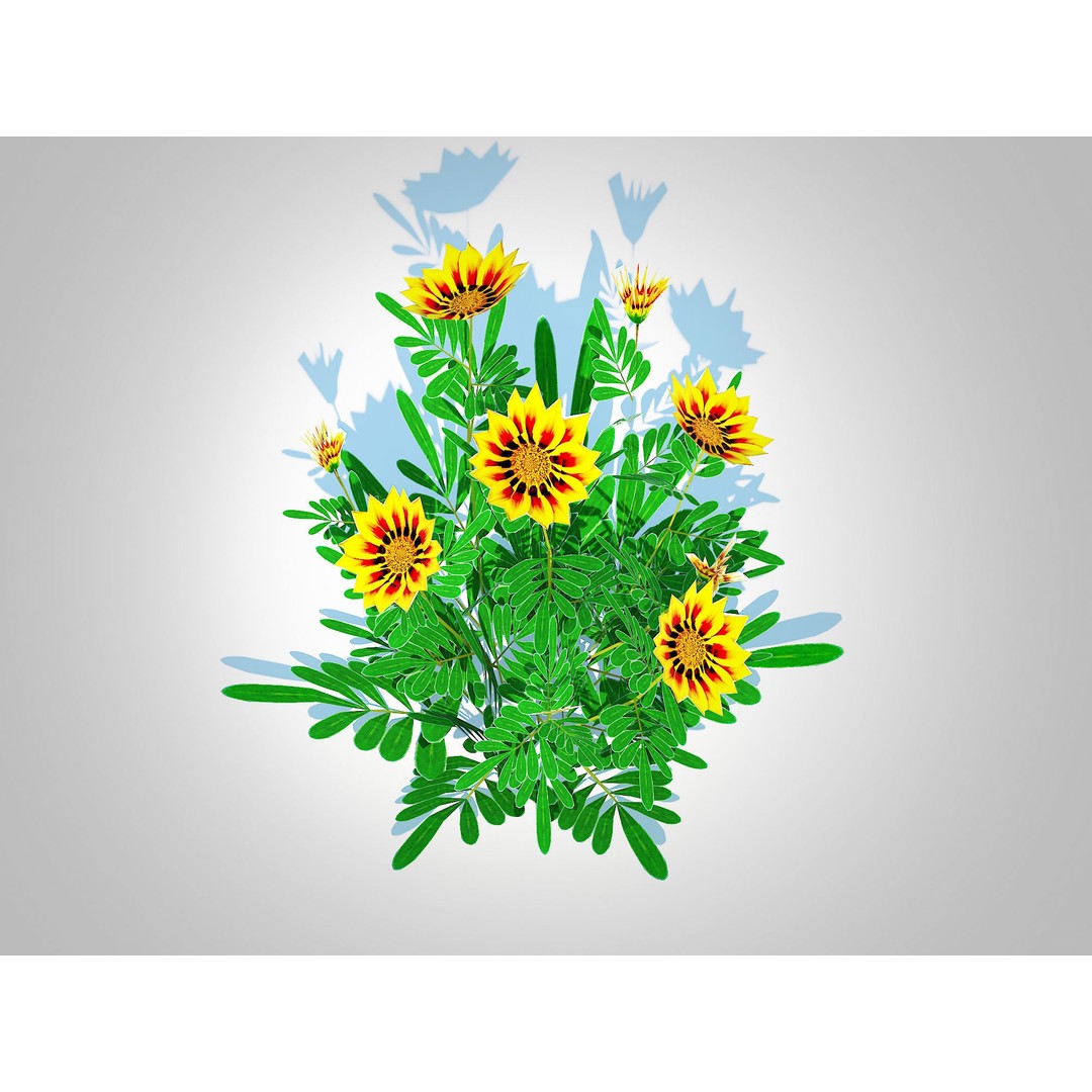 Gazania Rigens Daybreak Yellow 3D Model – Low Poly Game Asset, FBX - View 5