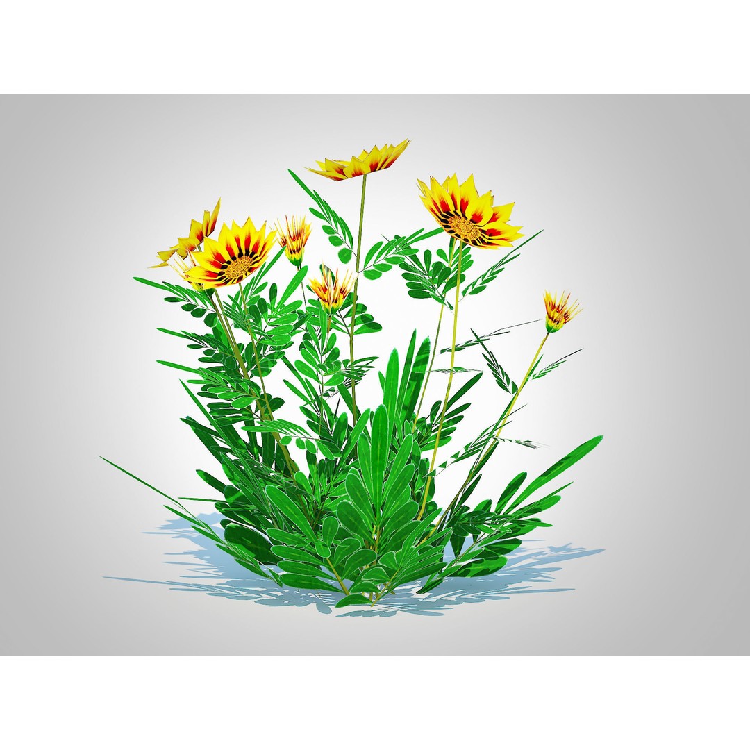 Gazania Rigens Daybreak Yellow 3D Model – Low Poly Game Asset, FBX - View 6