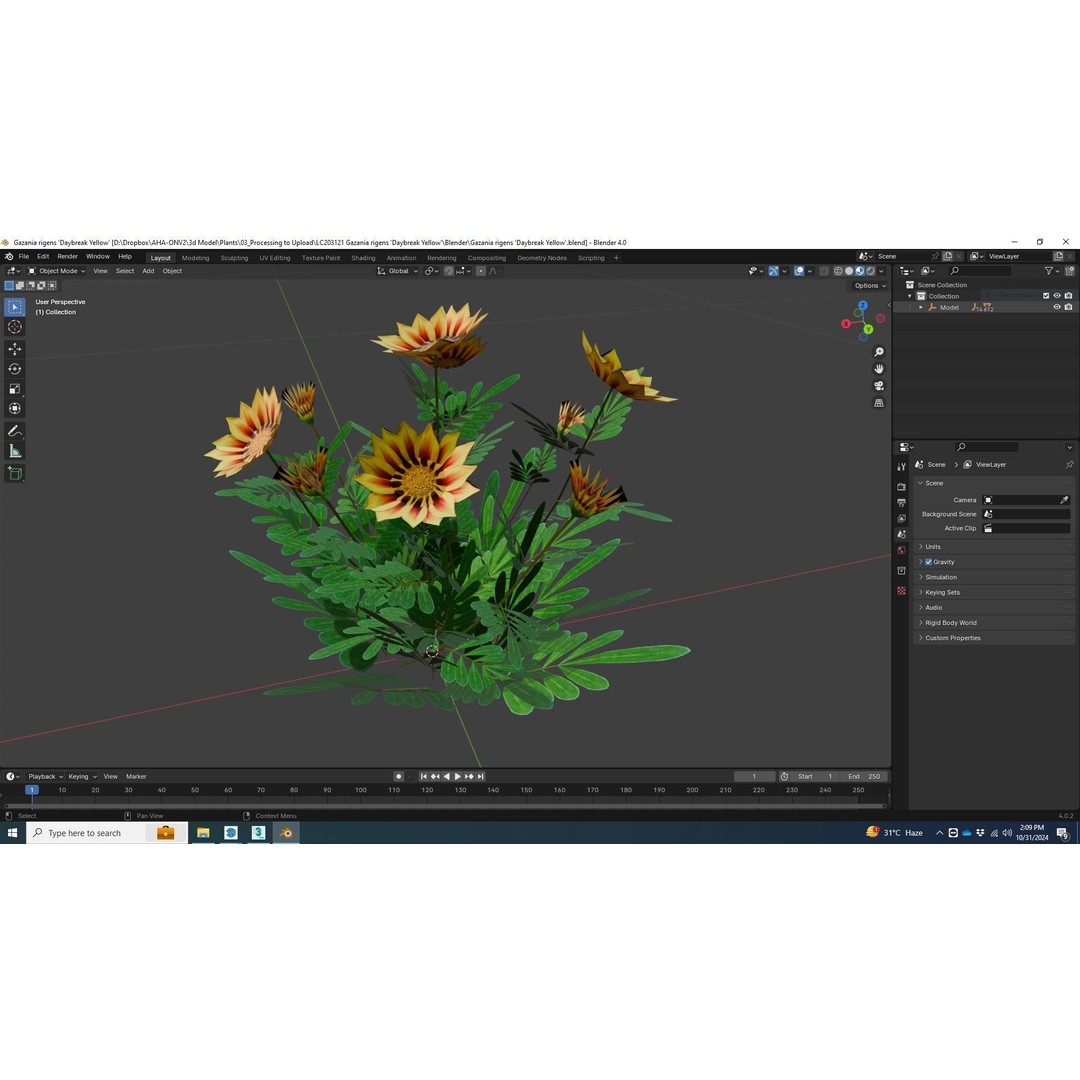 Gazania Rigens Daybreak Yellow 3D Model – Low Poly Game Asset, FBX - View 7