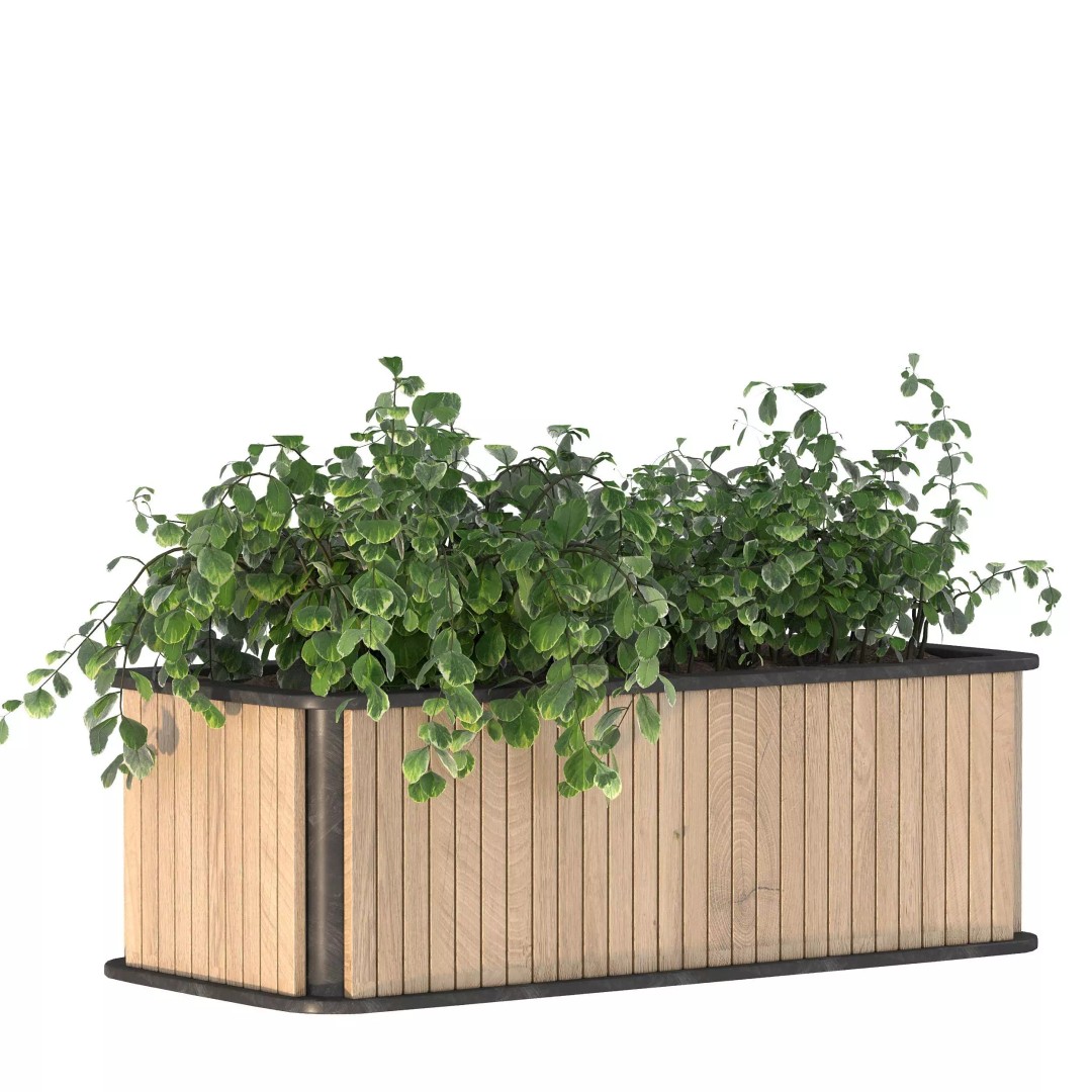 Plant Set 09 3D Model – Modern Tropical Design with PBR Textures
