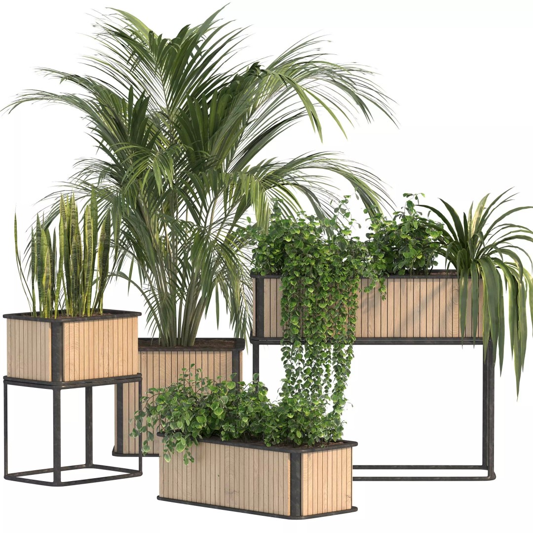 Plant Set 09 3D Model – Modern Tropical Design with PBR Textures - View 2
