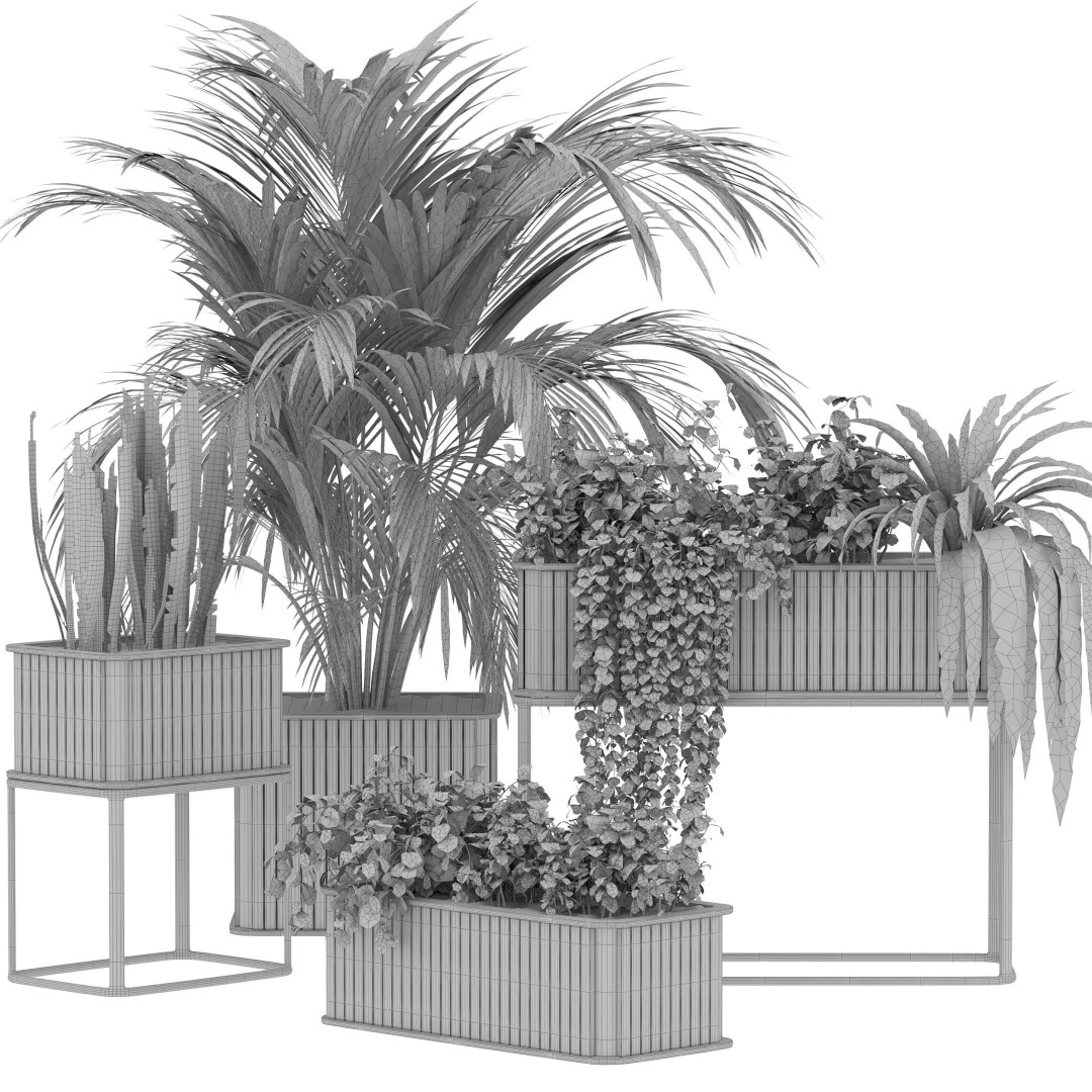 Plant Set 09 3D Model – Modern Tropical Design with PBR Textures - View 3