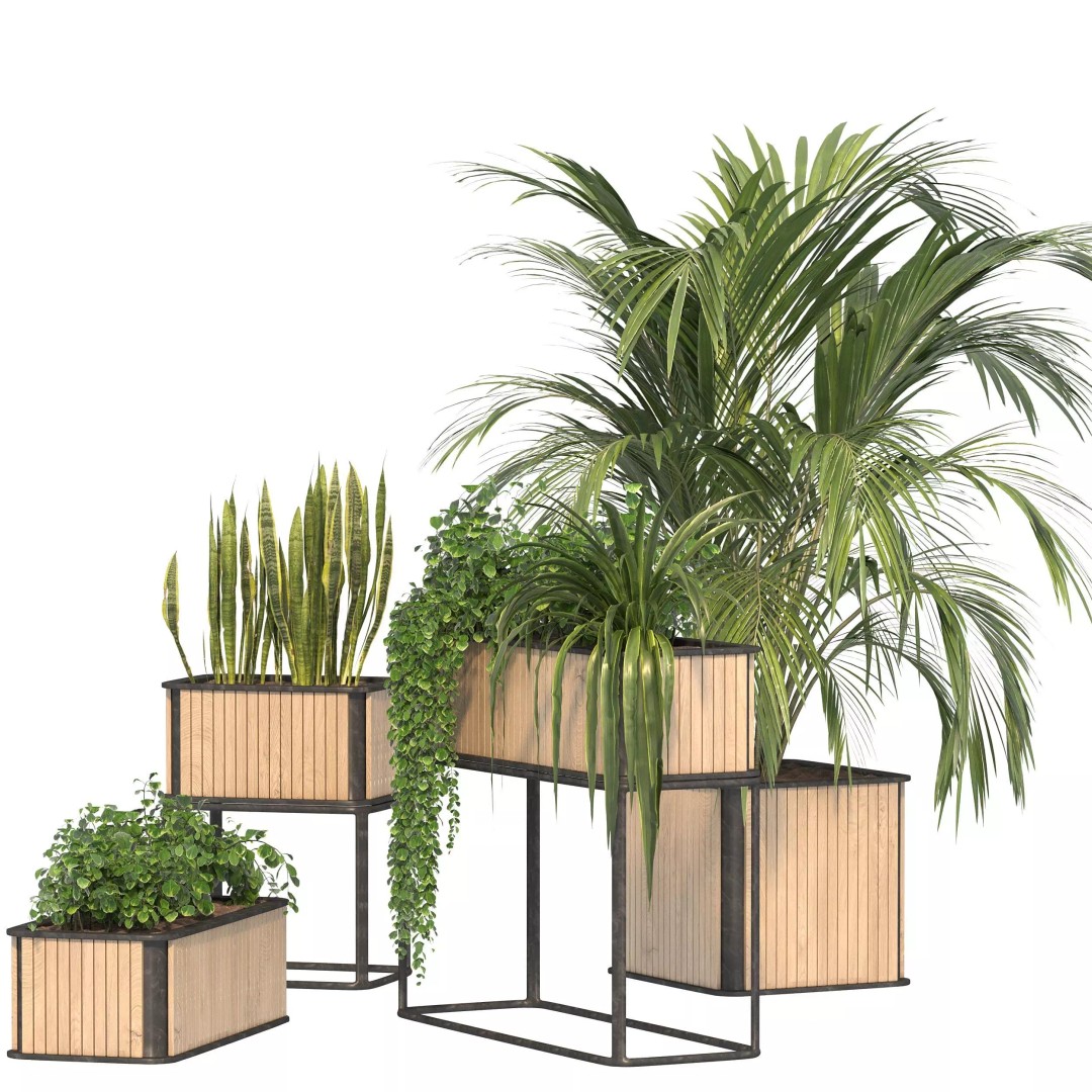 Plant Set 09 3D Model – Modern Tropical Design with PBR Textures - View 4