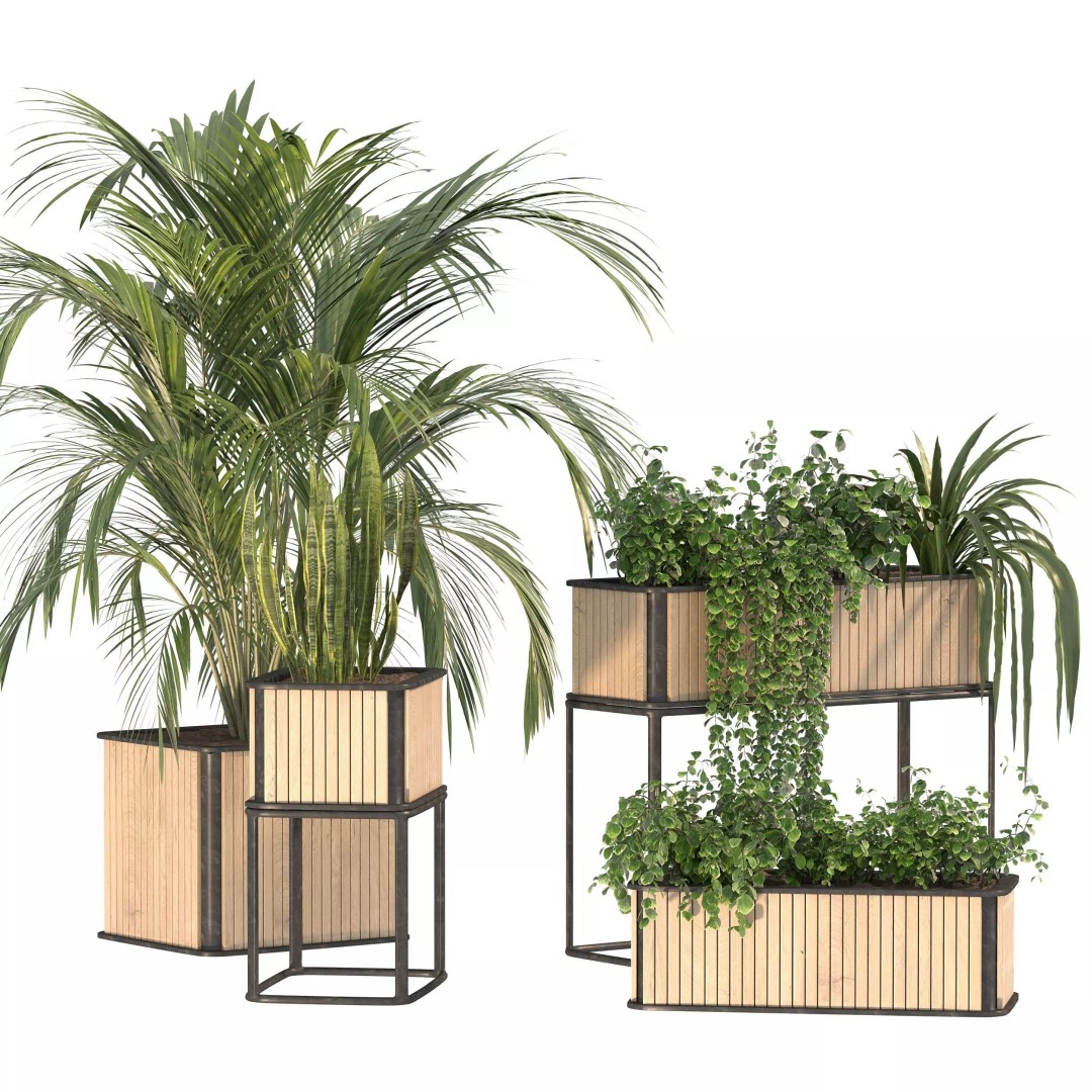 Plant Set 09 3D Model – Modern Tropical Design with PBR Textures - View 5