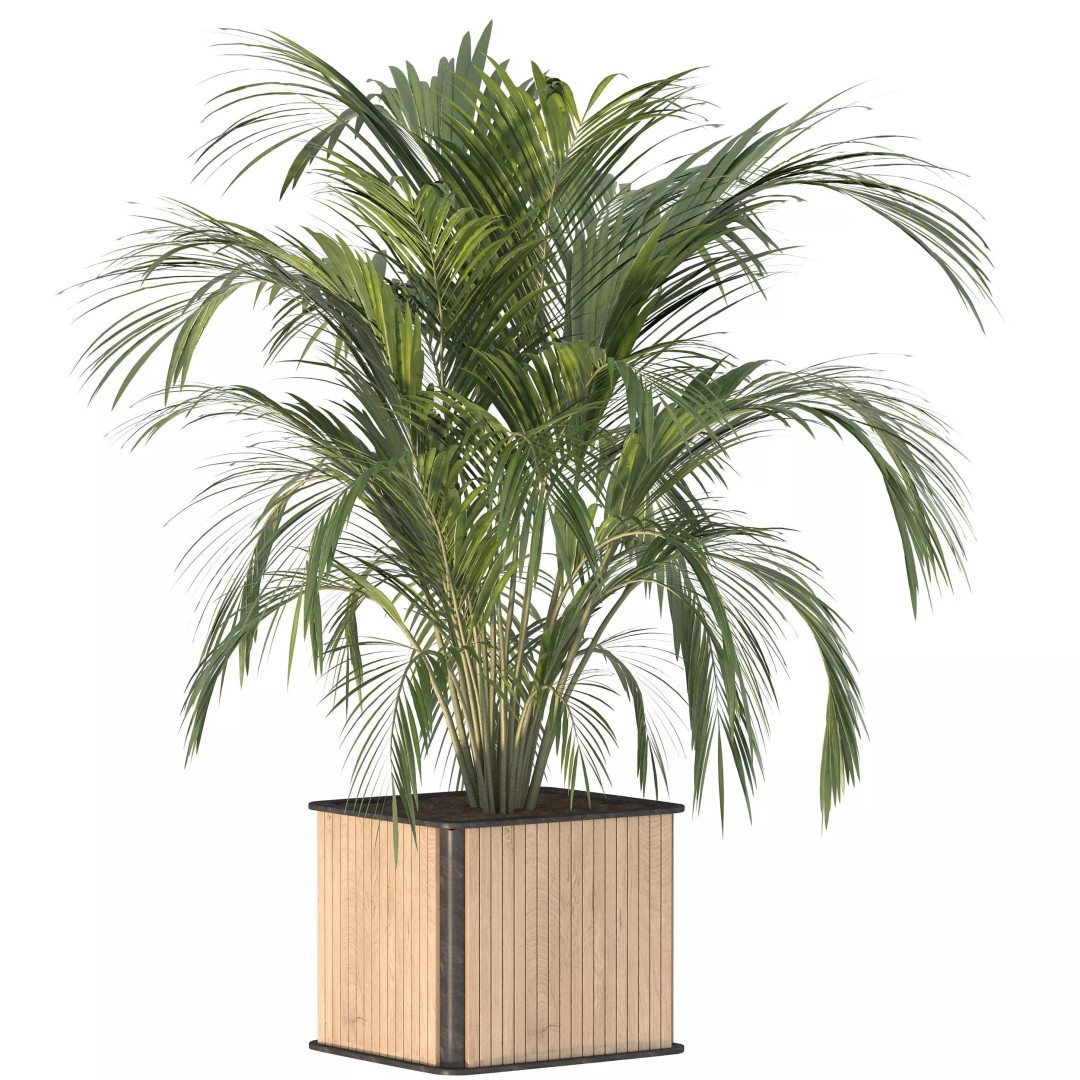 Plant Set 09 3D Model – Modern Tropical Design with PBR Textures - View 6