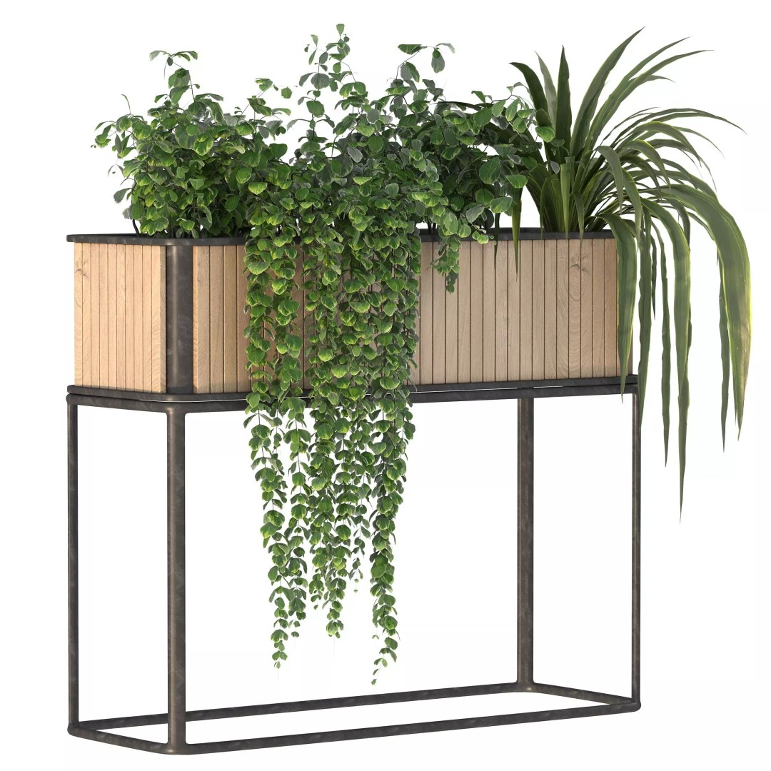 Plant Set 09 3D Model – Modern Tropical Design with PBR Textures - View 7