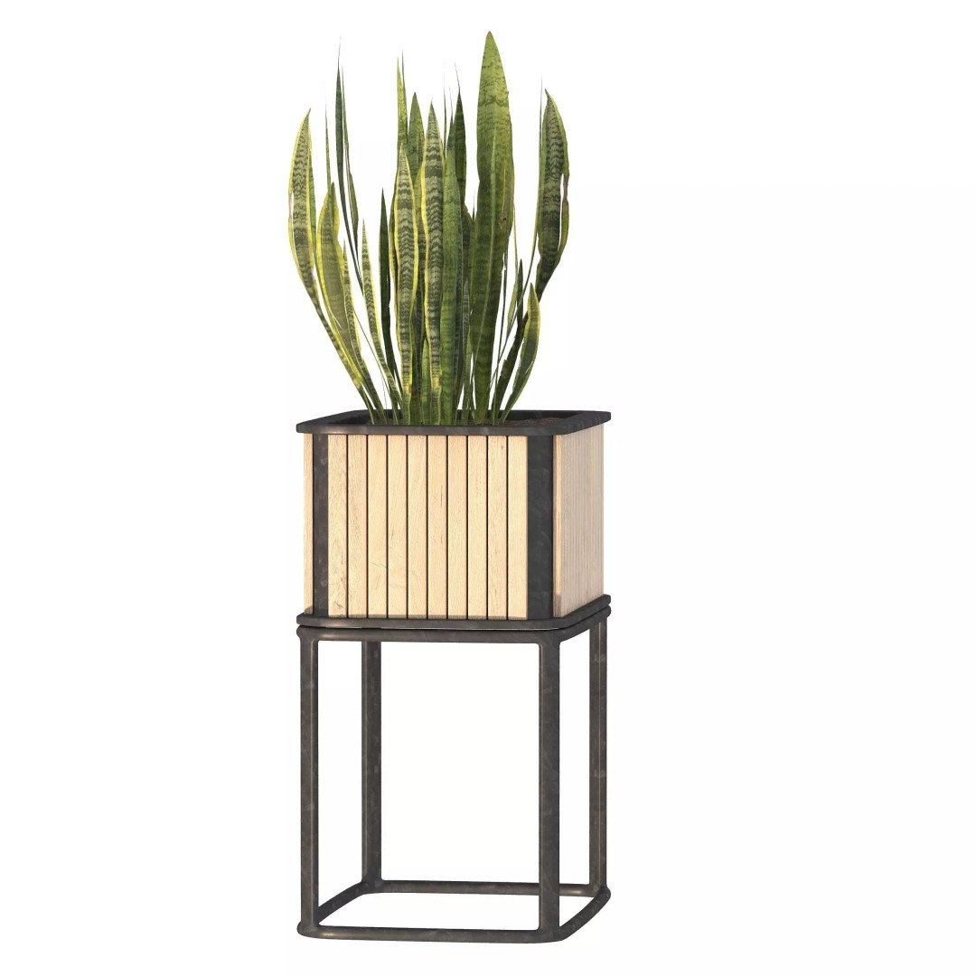 Plant Set 09 3D Model – Modern Tropical Design with PBR Textures - View 8
