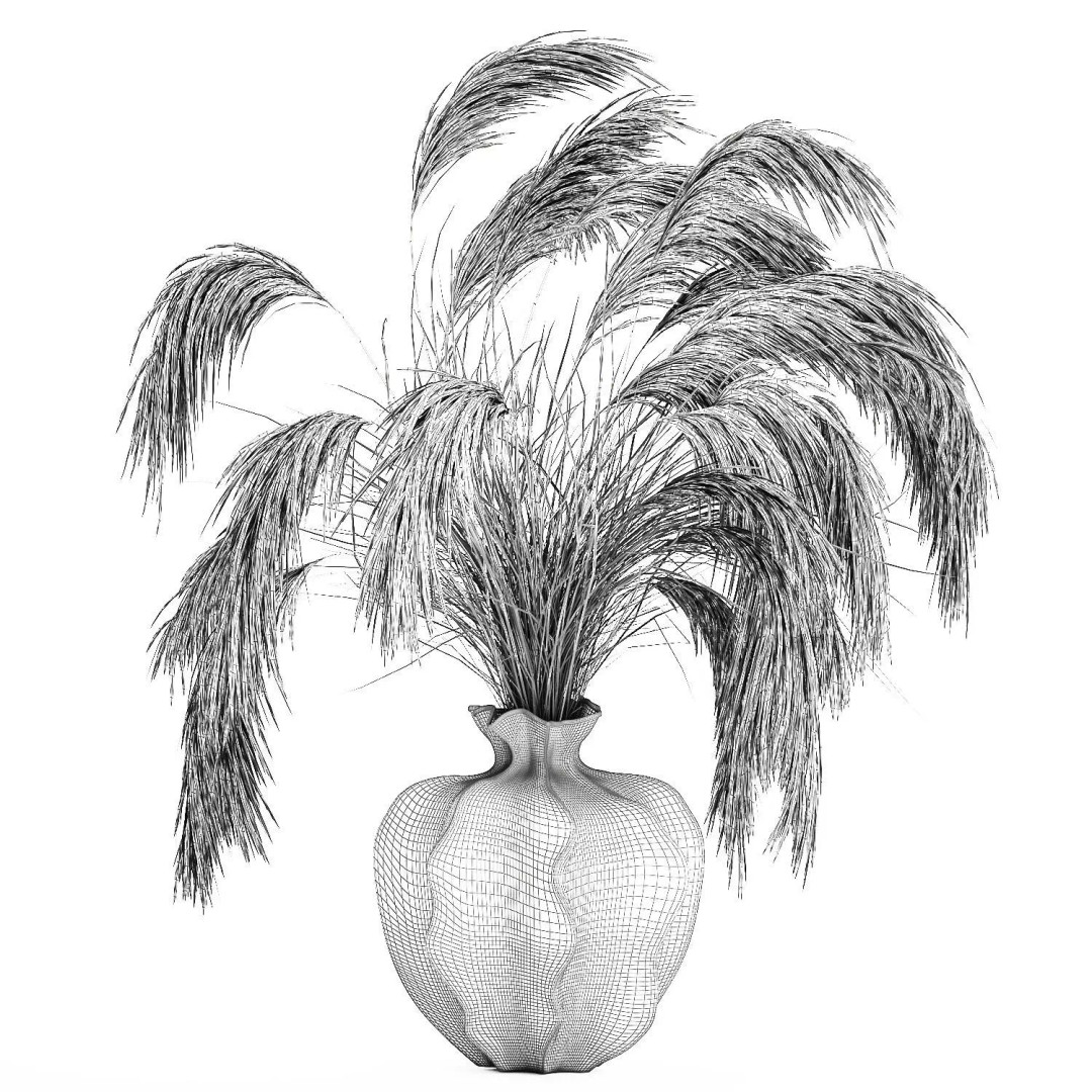 Cortaderia Pampas Grass 3D Model – Realistic Dried Flower Arrangement