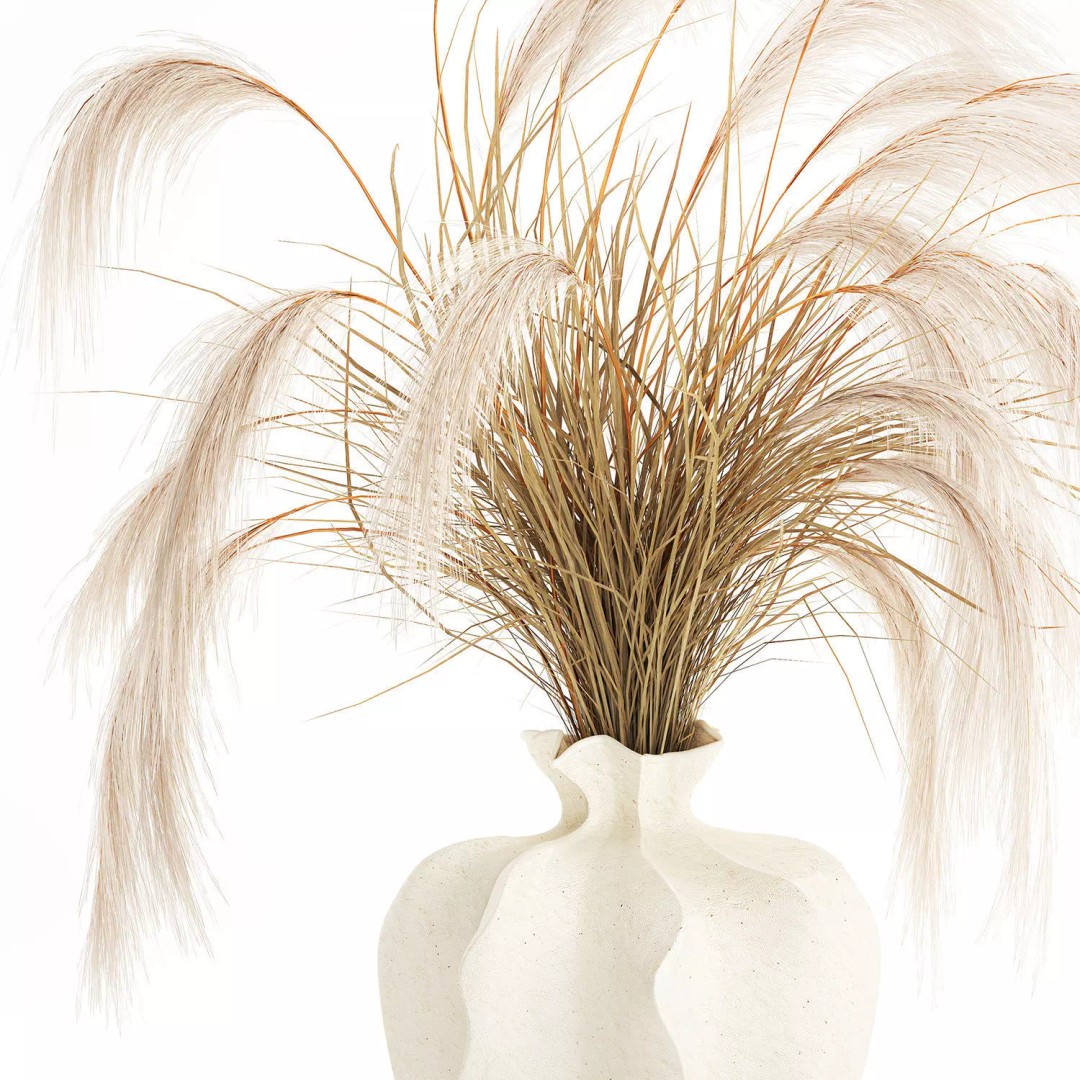Cortaderia Pampas Grass 3D Model – Realistic Dried Flower Arrangement - View 11