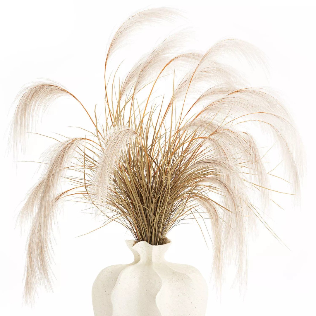 Cortaderia Pampas Grass 3D Model – Realistic Dried Flower Arrangement - View 12