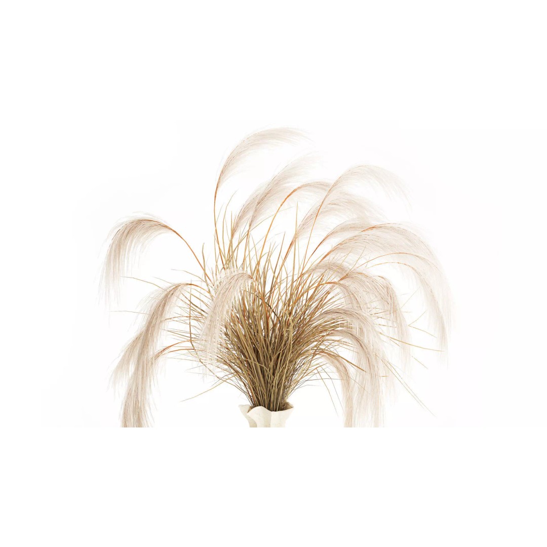 Cortaderia Pampas Grass 3D Model – Realistic Dried Flower Arrangement - View 3