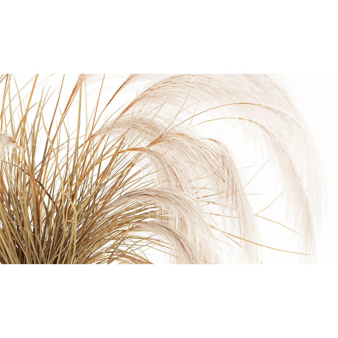 Cortaderia Pampas Grass 3D Model – Realistic Dried Flower Arrangement - View 6