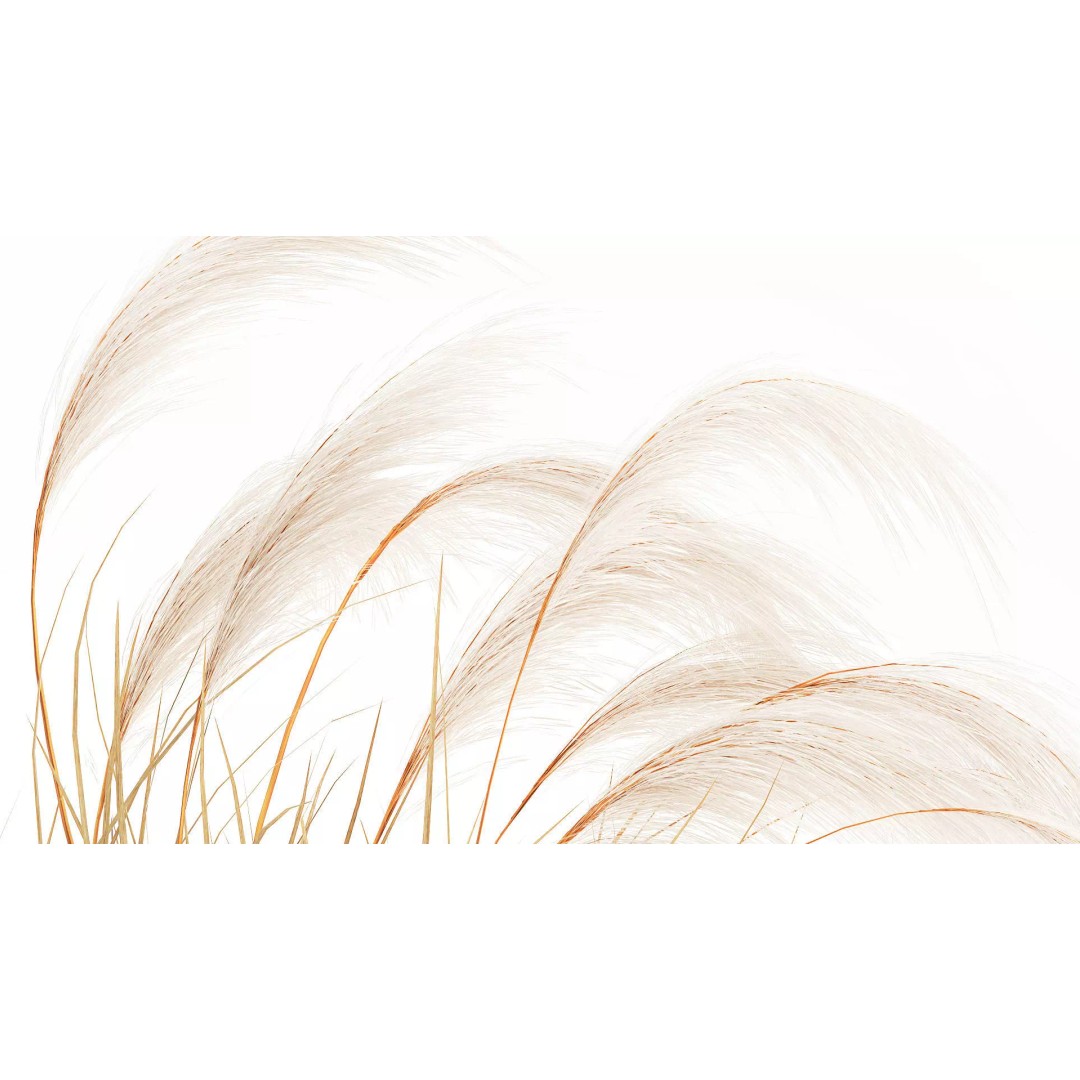 Cortaderia Pampas Grass 3D Model – Realistic Dried Flower Arrangement - View 7