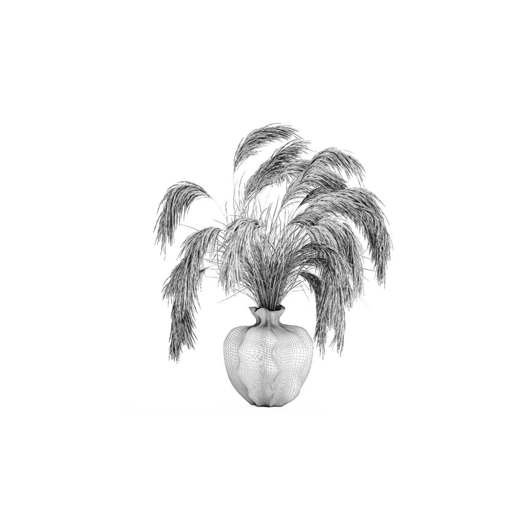 Cortaderia Pampas Grass 3D Model – Realistic Dried Flower Arrangement - View 8