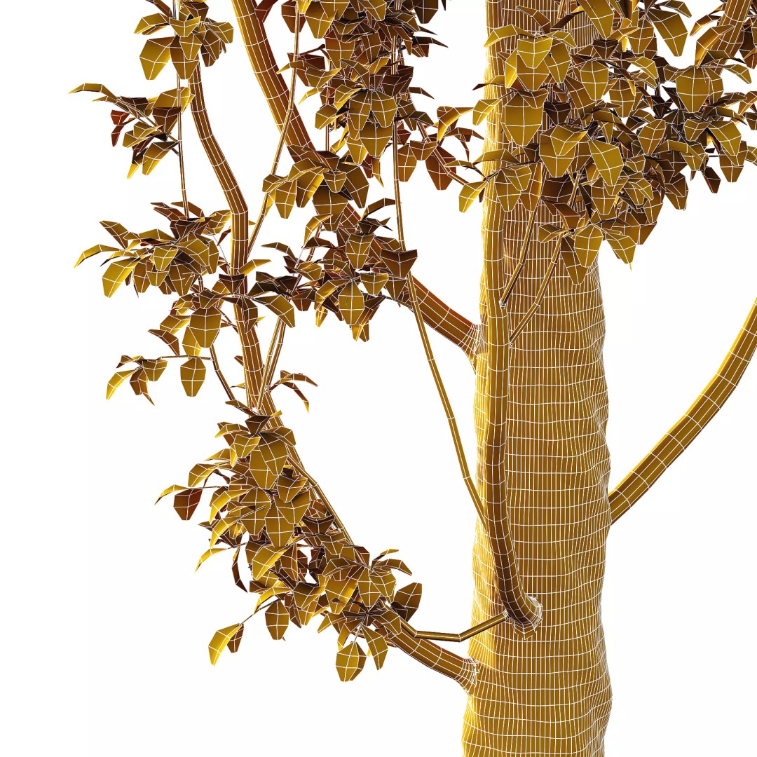 Populus Nigra Tree 3D Model – High Poly Plant Asset, FBX, OBJ, Blender