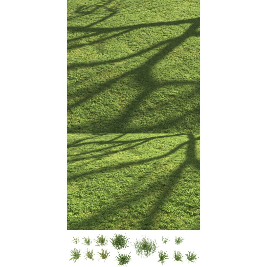 Flat Grass 3D Model – Realistic Grass Patterns, FBX, Game-Ready