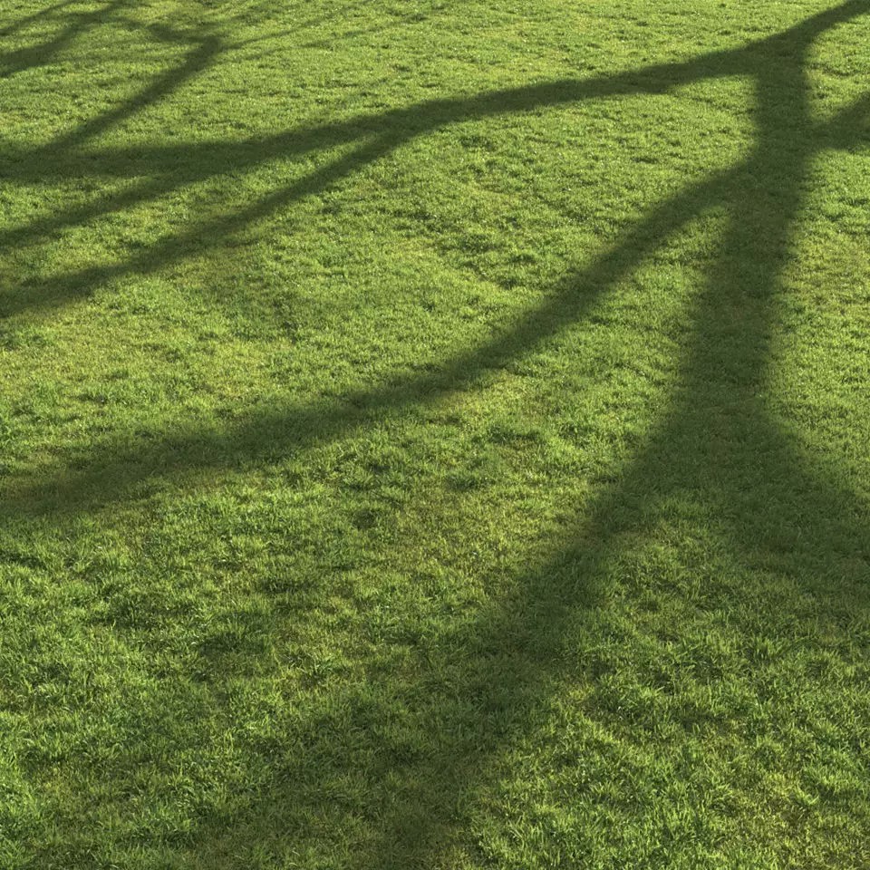Flat Grass 3D Model – Realistic Grass Patterns, FBX, Game-Ready - View 2