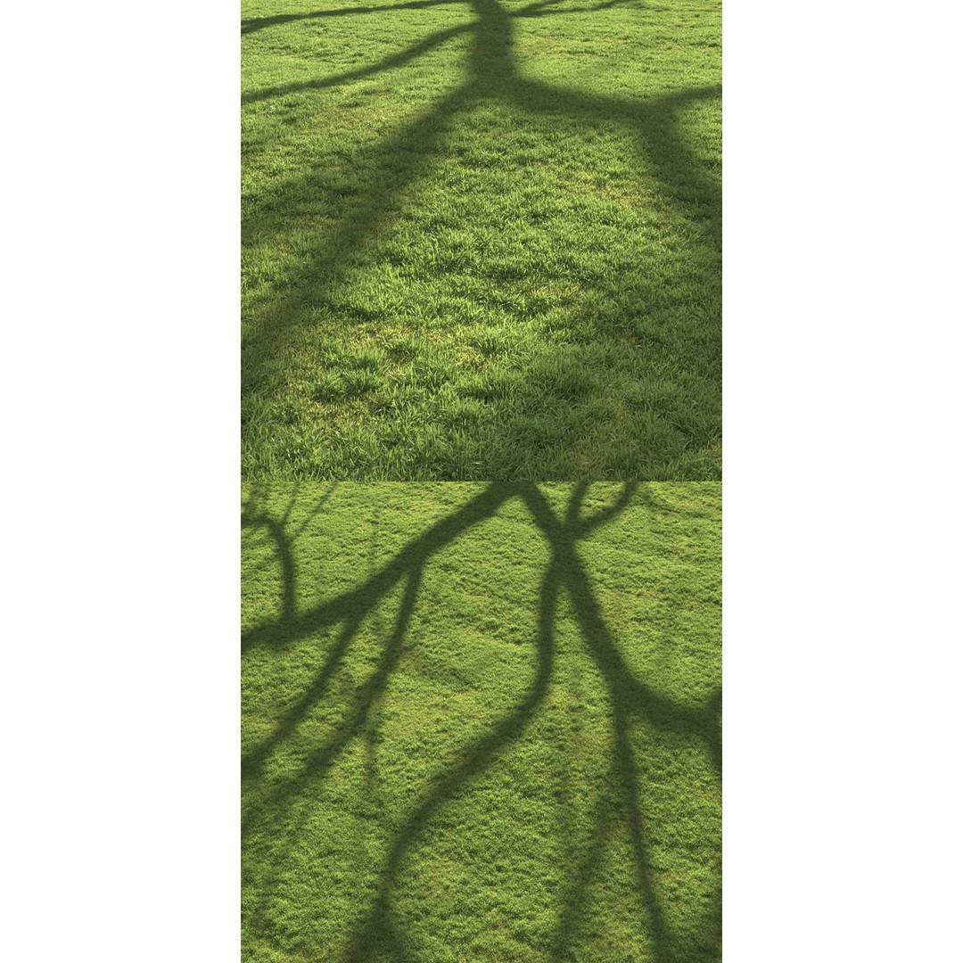 Flat Grass 3D Model – Realistic Grass Patterns, FBX, Game-Ready - View 3