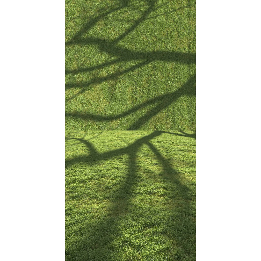 Flat Grass 3D Model – Realistic Grass Patterns, FBX, Game-Ready - View 4