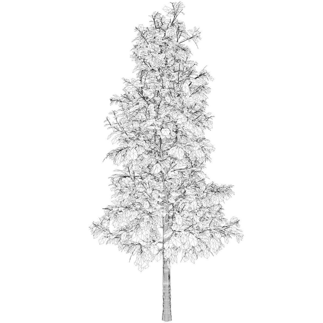 Sourwood Tree 3D Model – Photorealistic Plant Asset, FBX - View 3