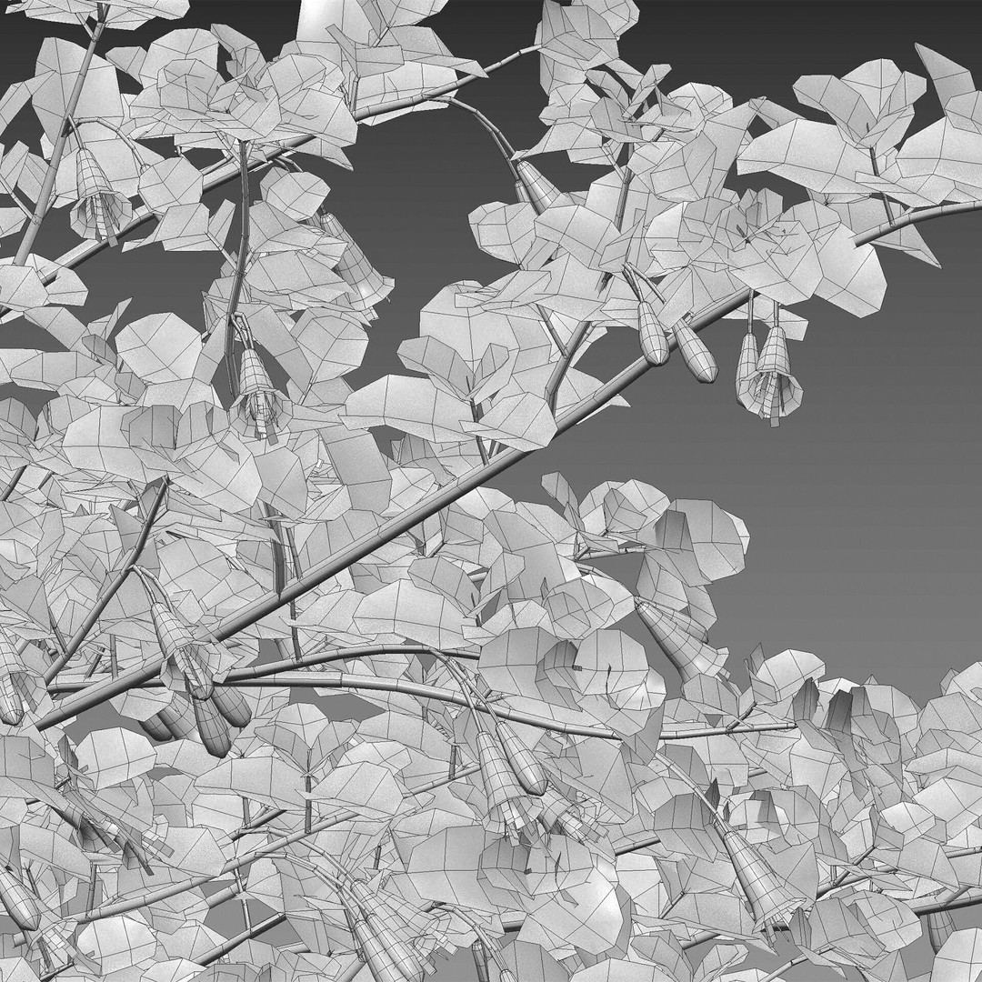 Correa Reflexa 3D Model – Native Fuchsia Plant Asset, FBX - View 7