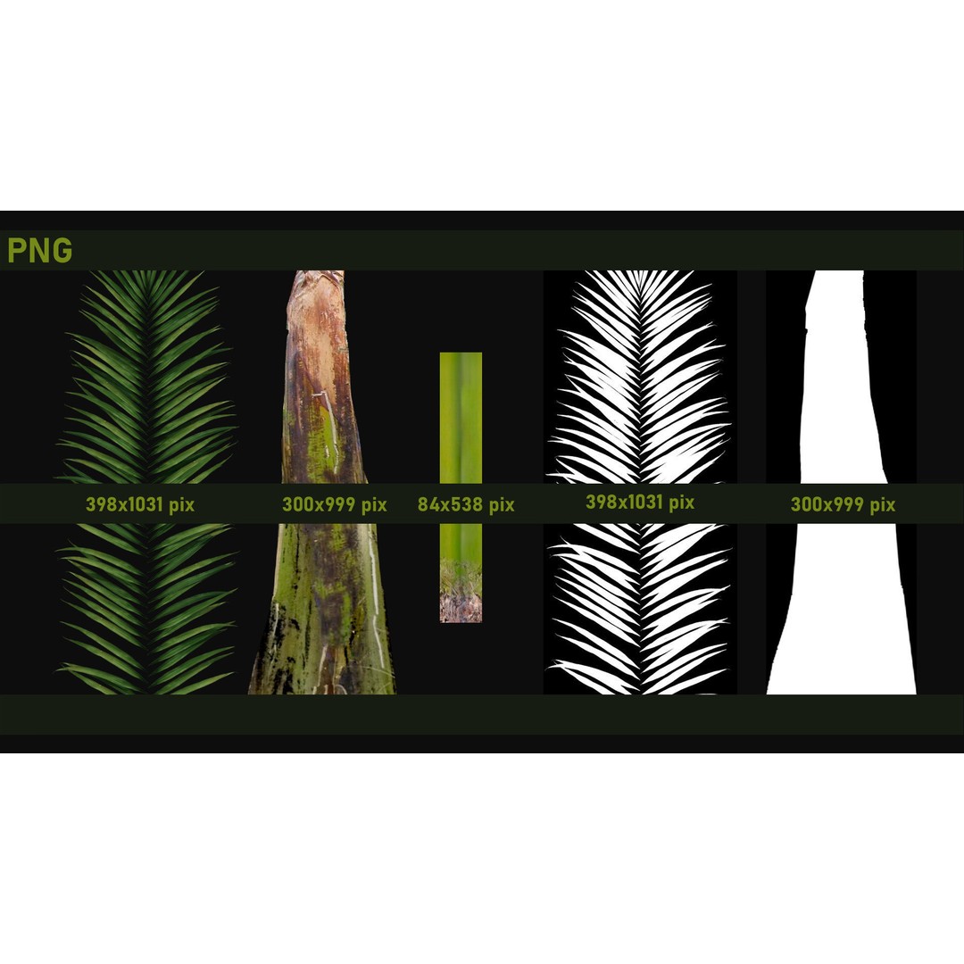 Areca Palm Tree 3D Model – Tropical Plant Asset, PBR Textures