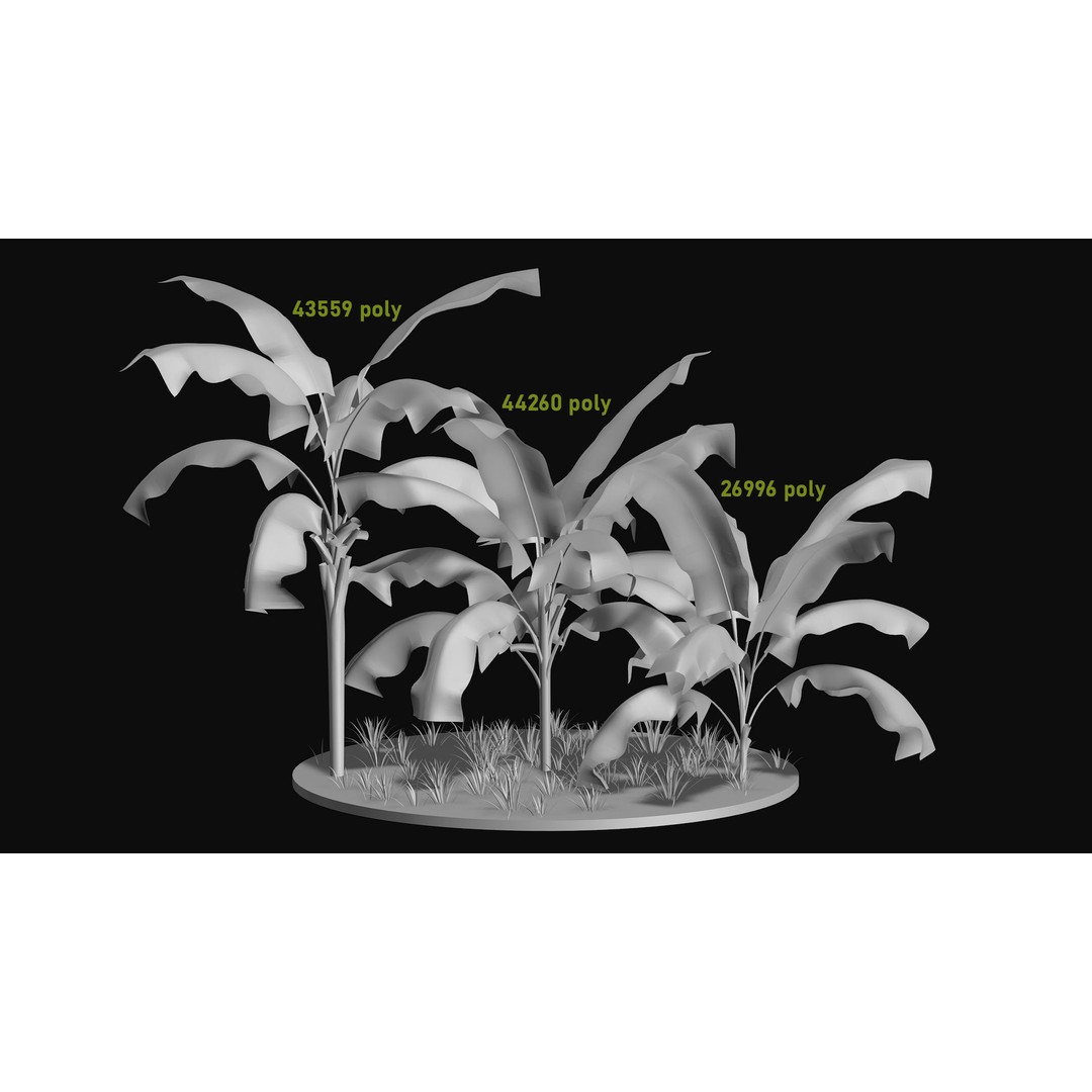 Areca Palm Tree 3D Model – Tropical Plant Asset, PBR Textures - View 10