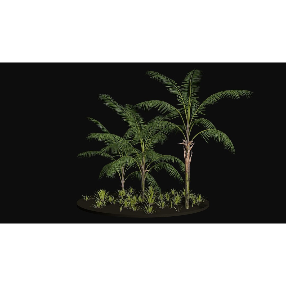 Areca Palm Tree 3D Model – Tropical Plant Asset, PBR Textures - View 3