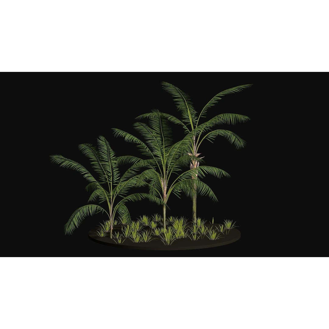 Areca Palm Tree 3D Model – Tropical Plant Asset, PBR Textures - View 4