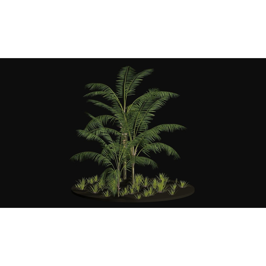Areca Palm Tree 3D Model – Tropical Plant Asset, PBR Textures - View 5