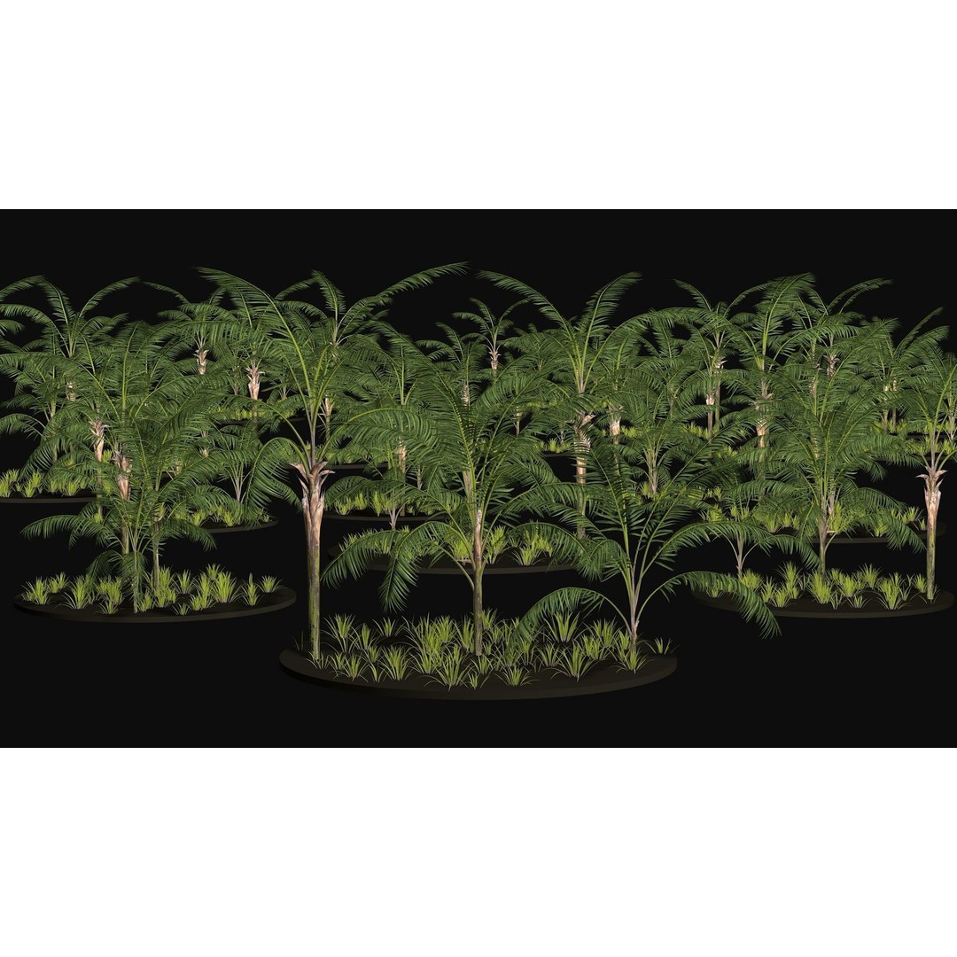 Areca Palm Tree 3D Model – Tropical Plant Asset, PBR Textures - View 7