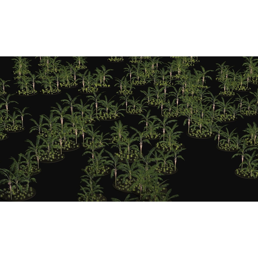 Areca Palm Tree 3D Model – Tropical Plant Asset, PBR Textures - View 8