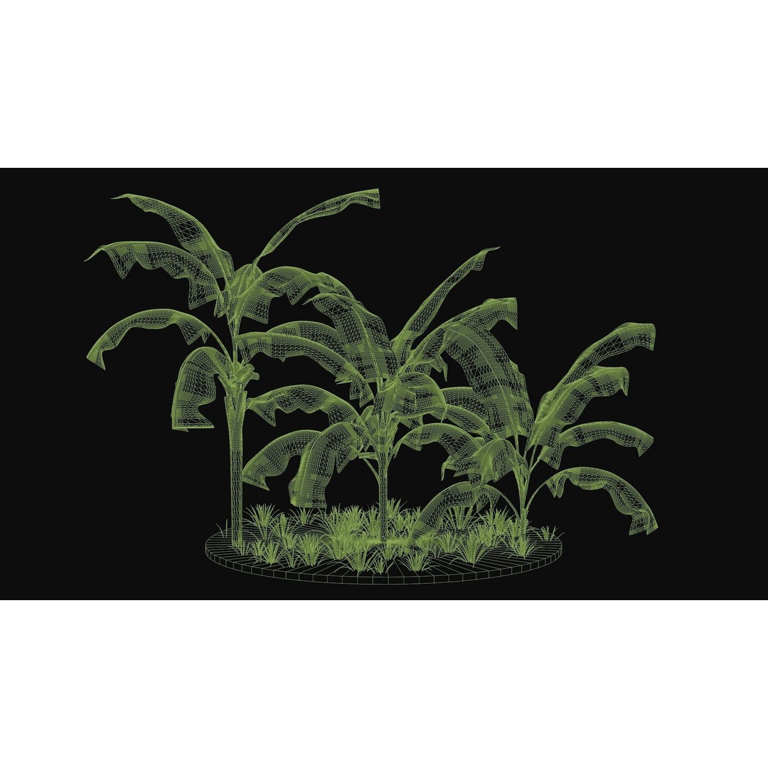 Areca Palm Tree 3D Model – Tropical Plant Asset, PBR Textures - View 9